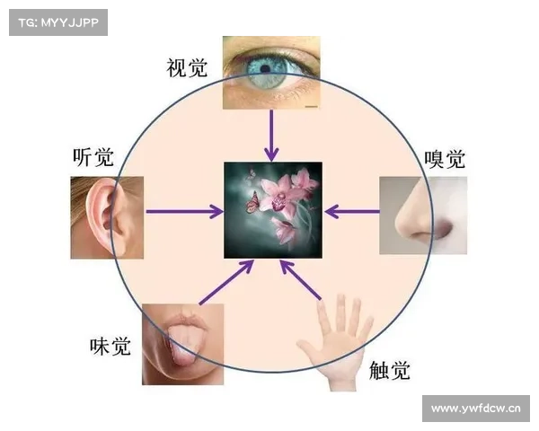 世上若无生命,谁来感知信息? 世上若无生命,谁来感知信息?